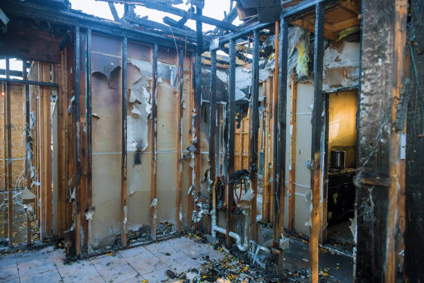 Professional Emergency Fire Cleanup technician working in Lakeland, TN